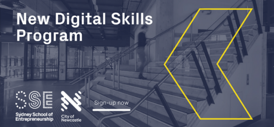 New Digital Skills Program