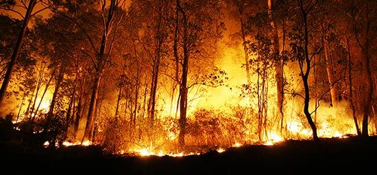 Bushfire Prone Land