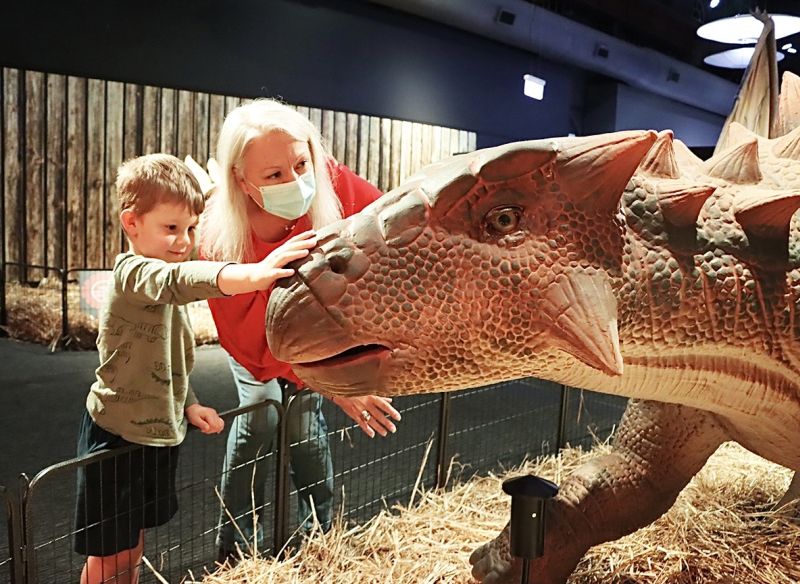 Mason Akers, aged 5, and Cr Carol Duncan meet one of the 'entrants' in the Great Baby Dinosaur Show at Newcastle Museum.