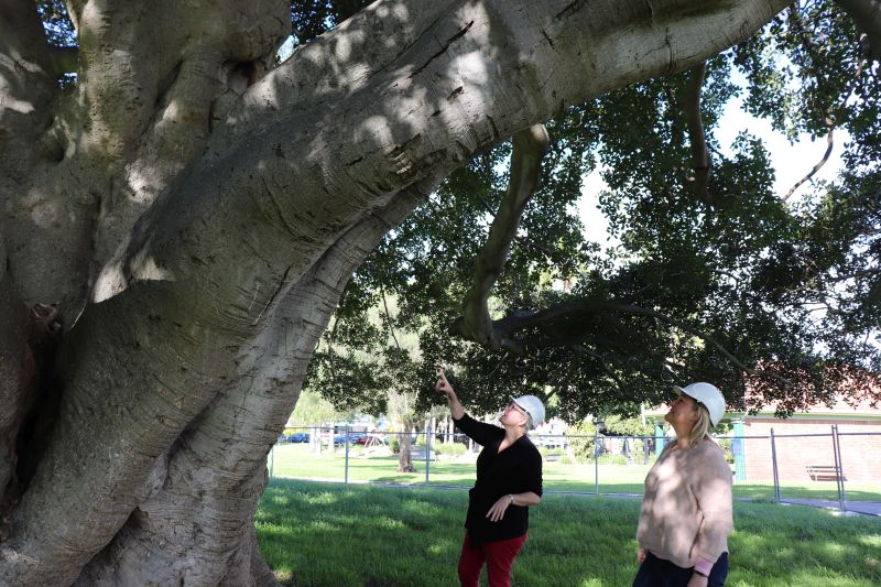 Councillor-Carol-Duncan-and-Lord-Mayor-Nuatali-Nelmes-at-Gregson-Park-Hamilton-1-web.jpg