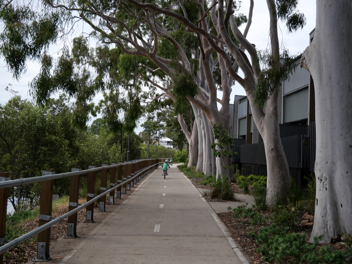 Newcastle Foreshore and Throsby Creek