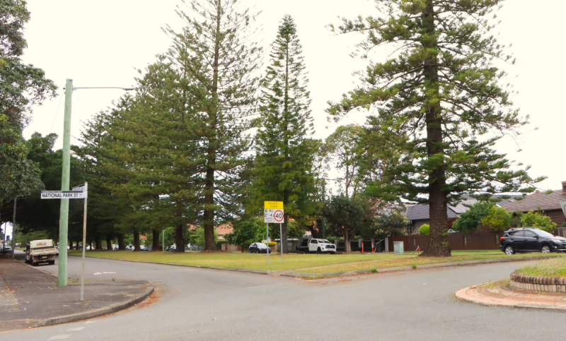 Corner of National Park Street and Parkway Avenue, Hamilton South