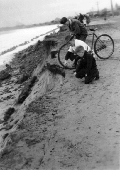 Sand erosion at Stockton Beach 1950s